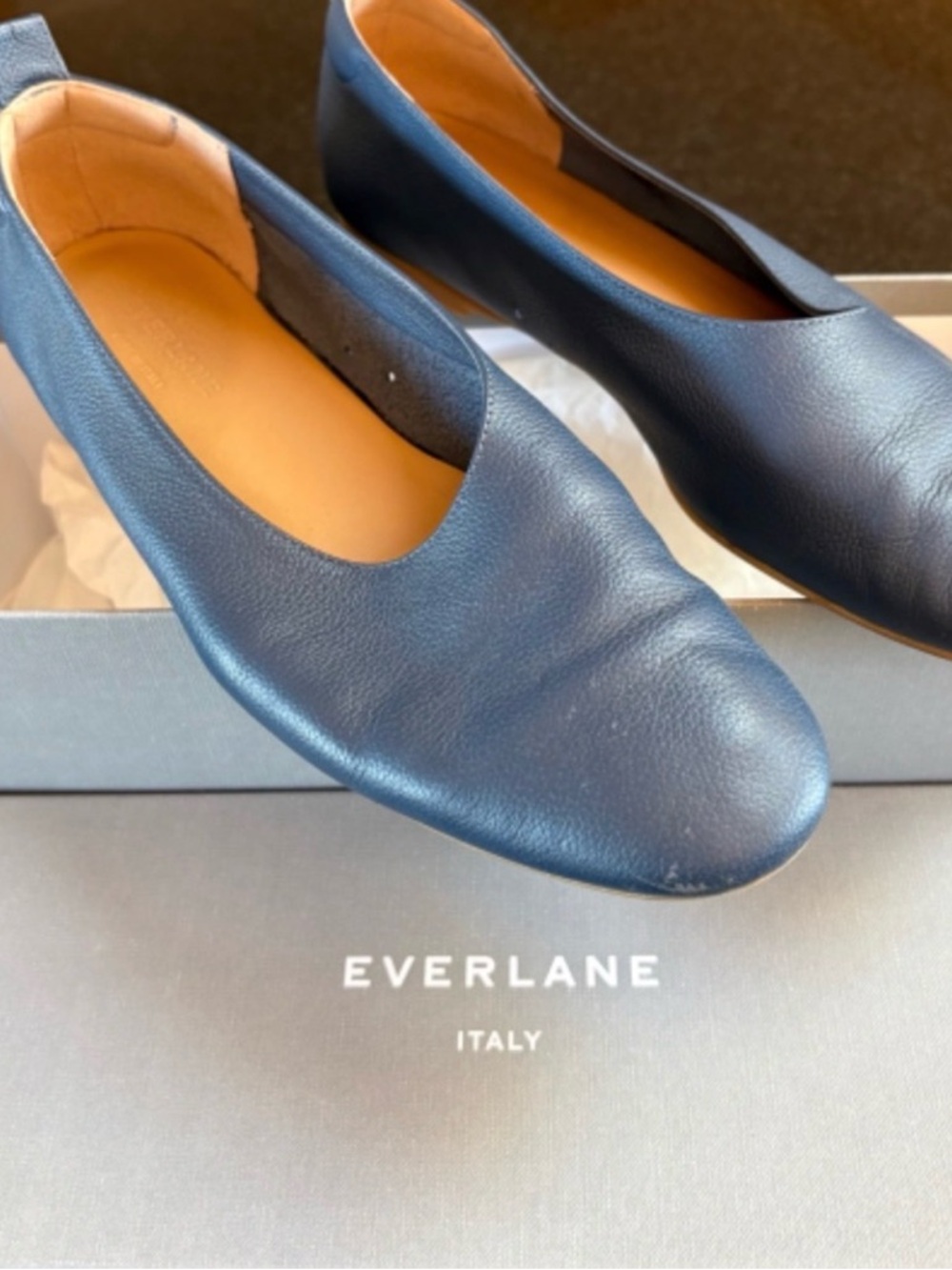 Everlane Day Glove ,Navy Leather Ballet Flats 7